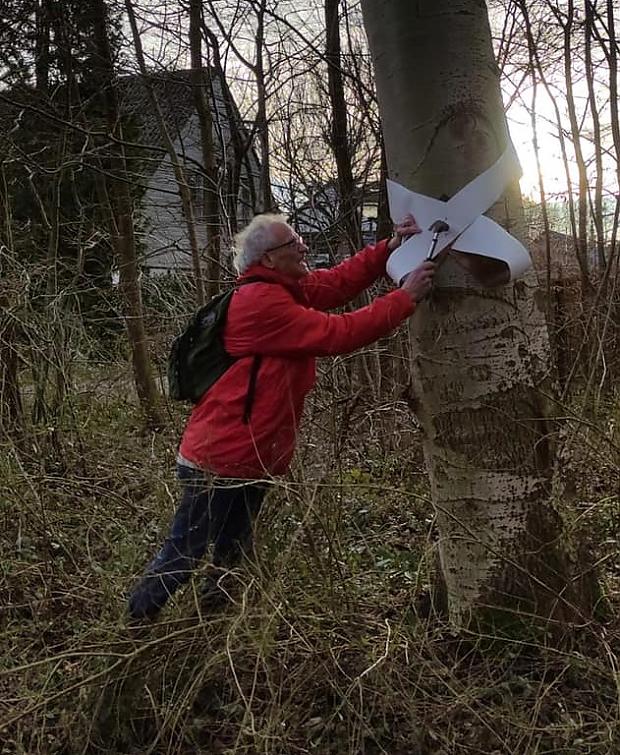 https://almere.sp.nl/nieuws/2022/02/bomen-westerdreef-voorzien-van-rouwlinten